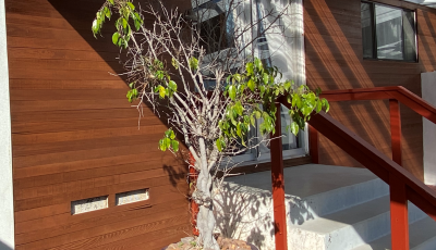 Stained Entrance in Clairemont