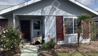 Exterior Painting Project