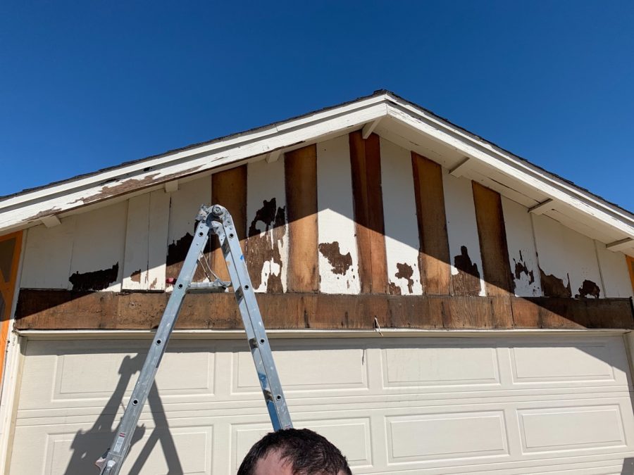 More rotten garage wood. Preview Image 4