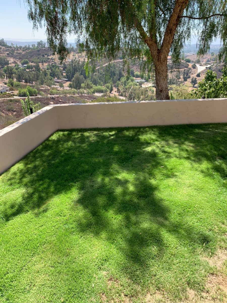 Exterior stucco and concrete fencing painted in Ramona.