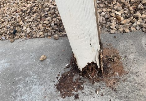 Rotten pergola support before being replaced.