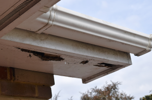 wood rot on soffit
