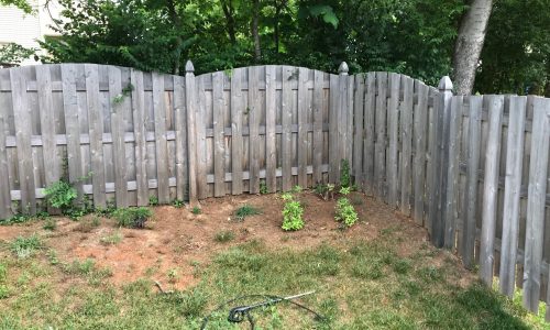 Step 1: <br/> Before Fence Staining Project