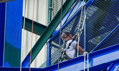 Rolling on New Paint