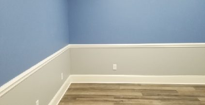 Interior Painting Project