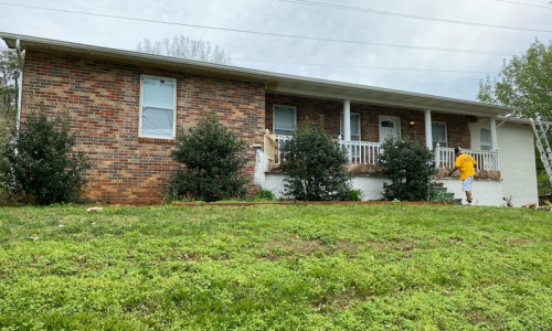 Painting in Progress