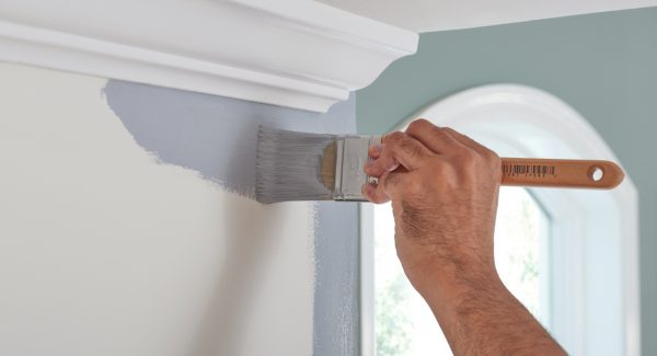 best paint materials for residential and commercial painting