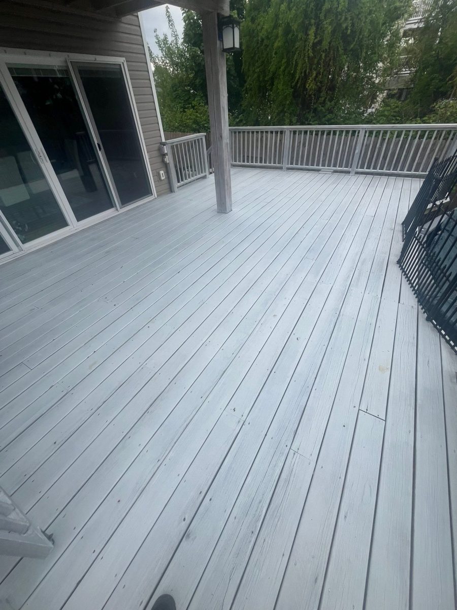 Deck Painting Project – Leonardo