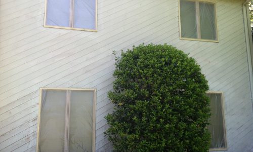 House Painting Project