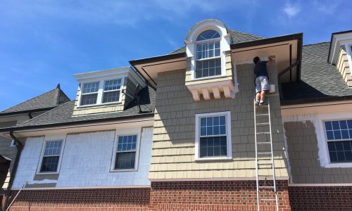 Painting in Progress