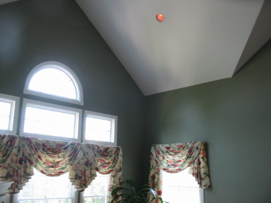 Green Interior Wall Dining Area Preview Image 1