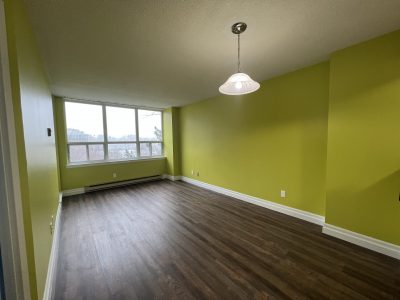 apartment after paint job