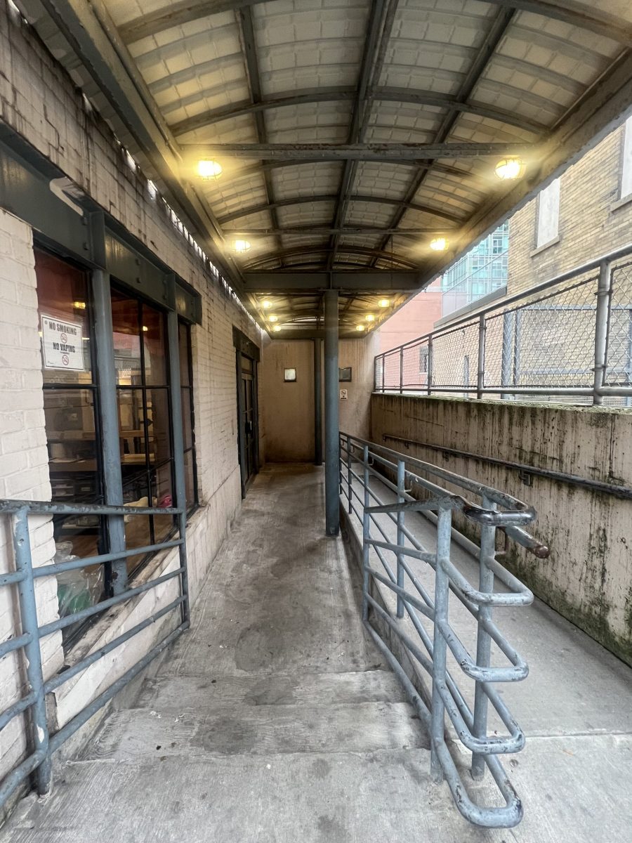 view of wheelchair accessible ramp to storefront entrance before cleaning Preview Image 9