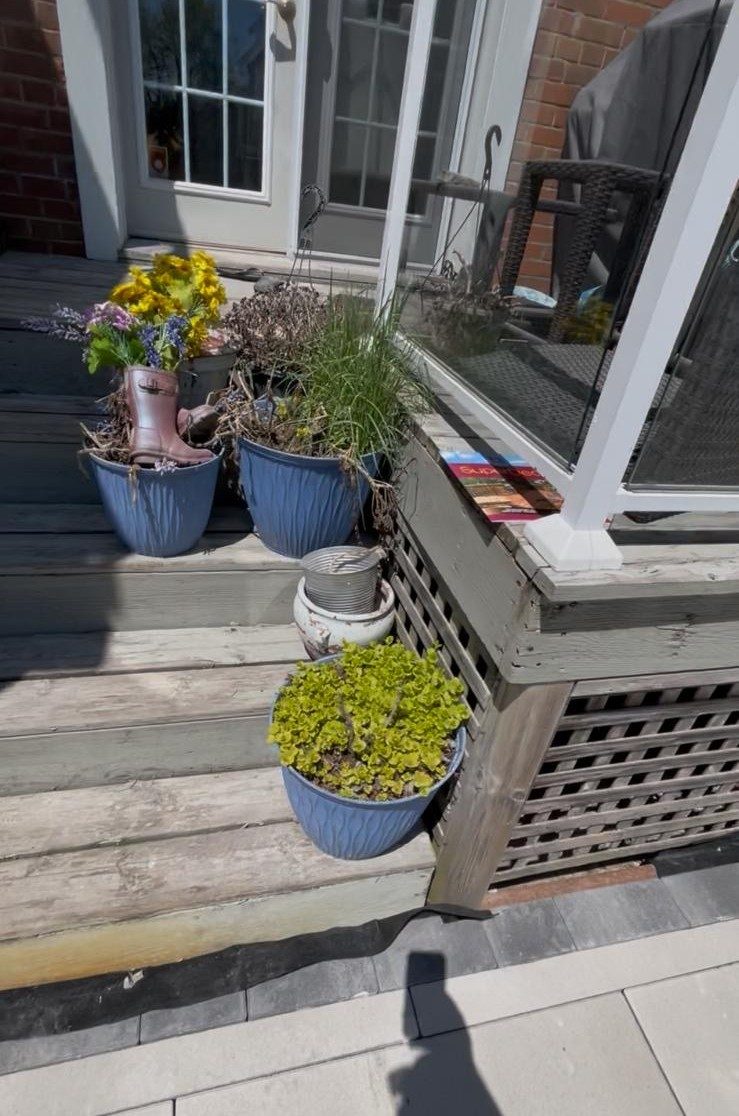 wooden deck with worn and damaged stain Preview Image 2