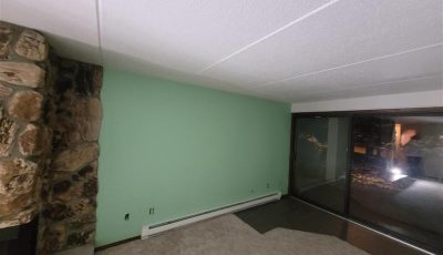 Interior Painting Project