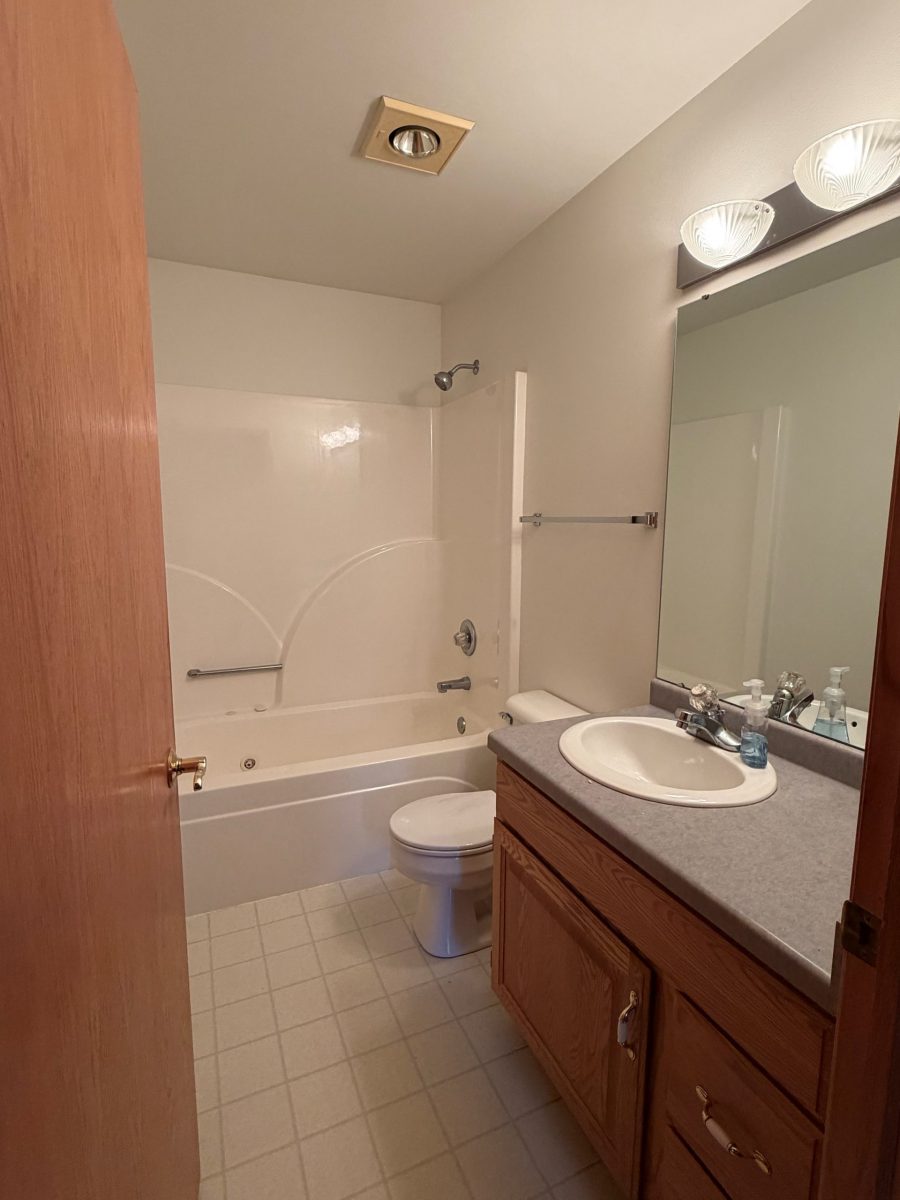 white painted home bathroom Preview Image 1