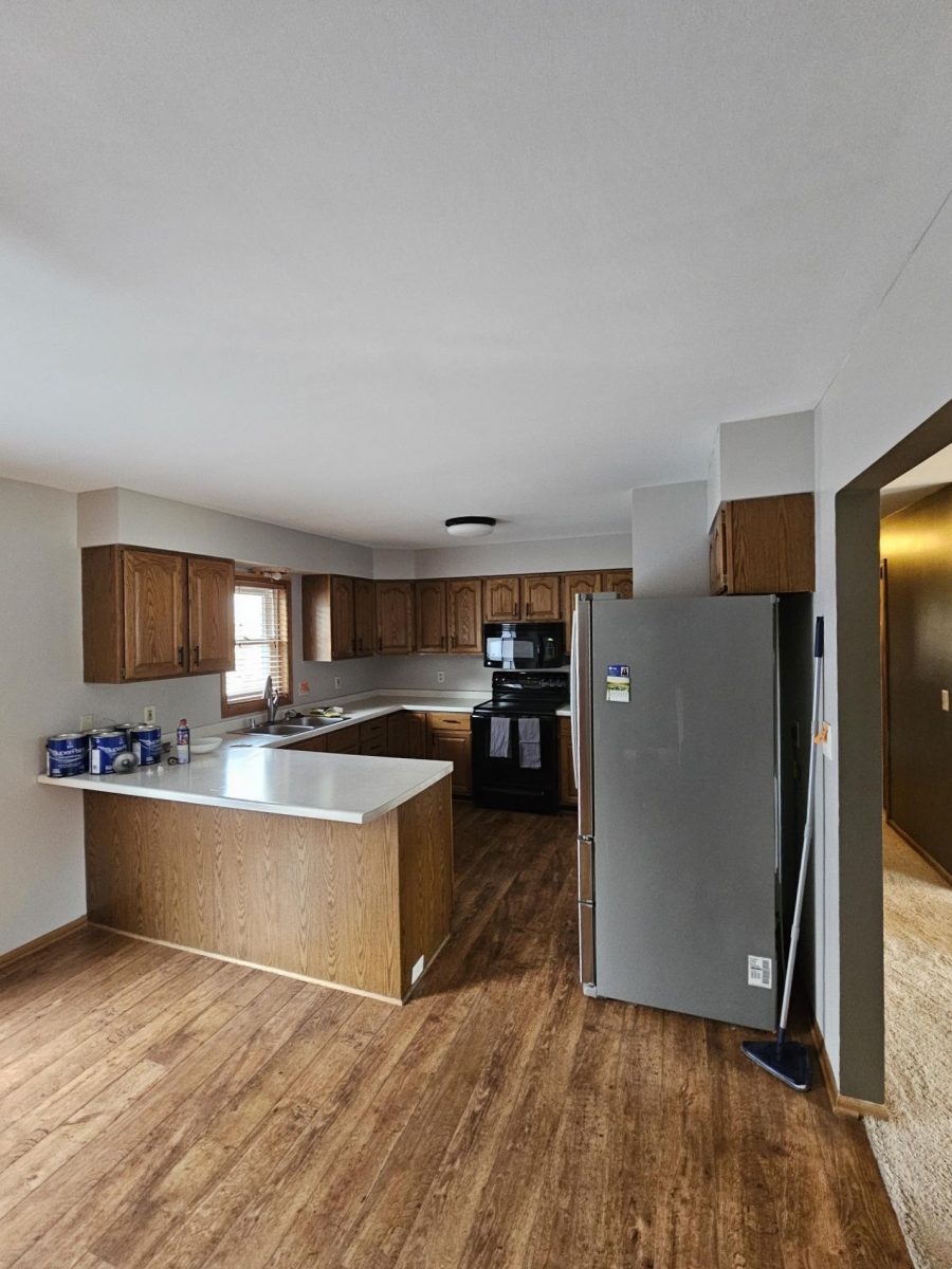 painted kitchen interior Preview Image 4