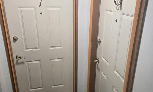 Apartment Doors