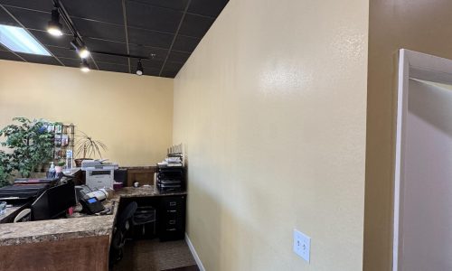 HearingLife (After) (Mequon)