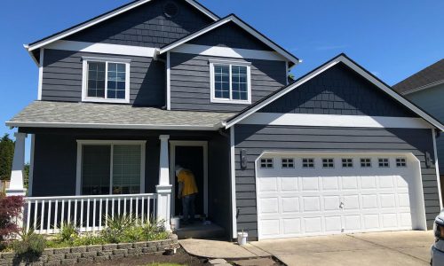 Vinyl Siding Painting