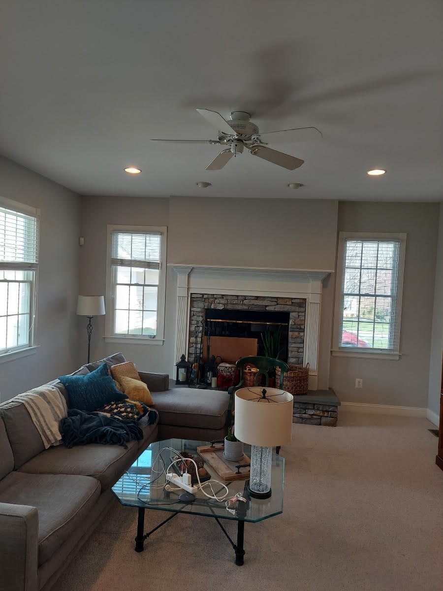 Living Room Painting