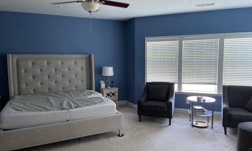 Interior Painting Project