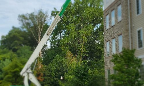 Commercial Exterior Painting Project