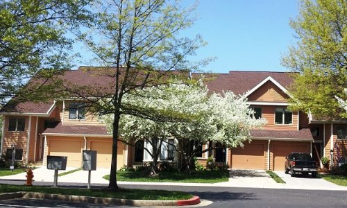 Exterior Multi-Unit Painting Project