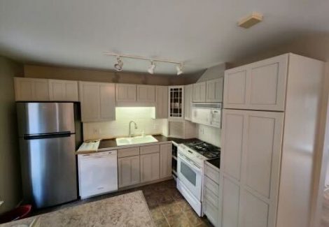 Kitchen Cabinet Refresh - Itasca, IL