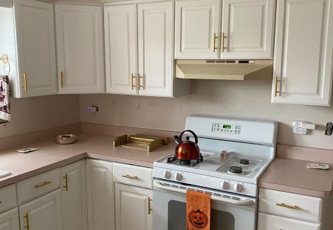 Kitchen Cabinet Before/After - Roselle, IL