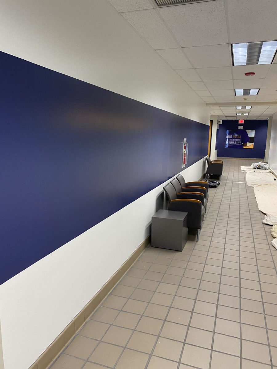 Top Elmhurst Commercial Painting Services Preview Image 4