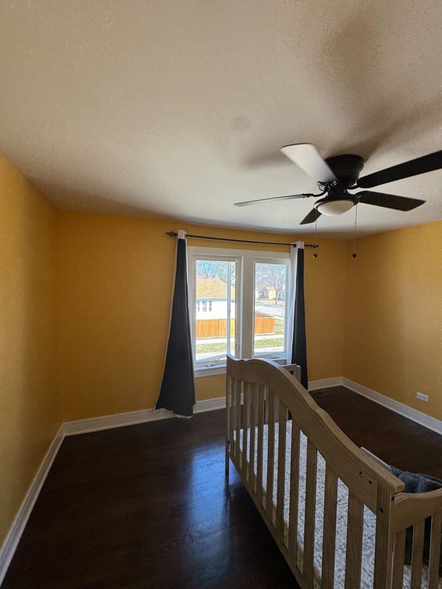 Painting Services Near Me Preview Image 8