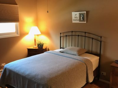 professional Wood Dale painting company