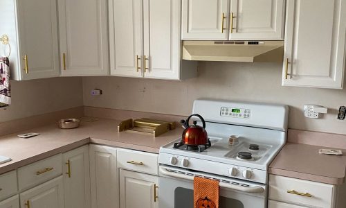 Kitchen Cabinet Painting