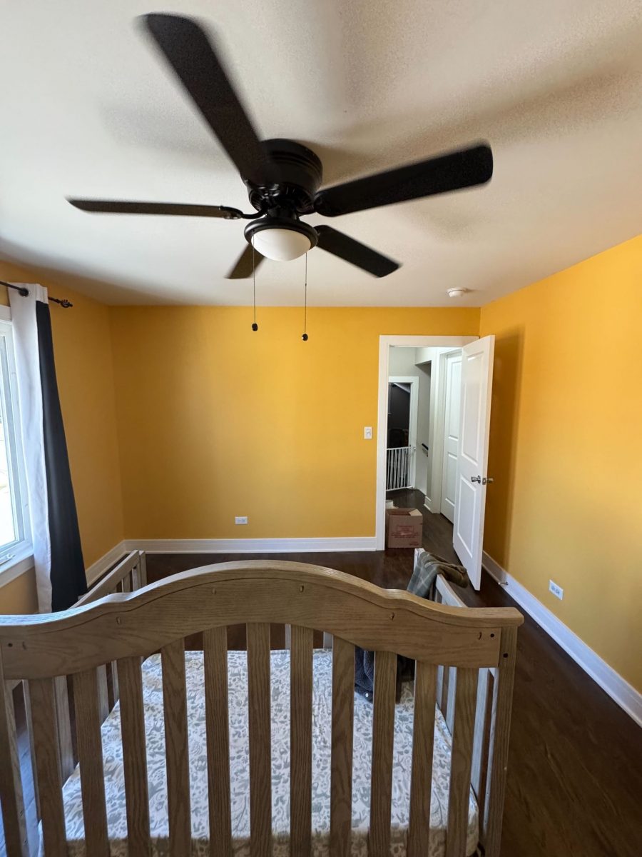 Top Professional Painters Preview Image 9