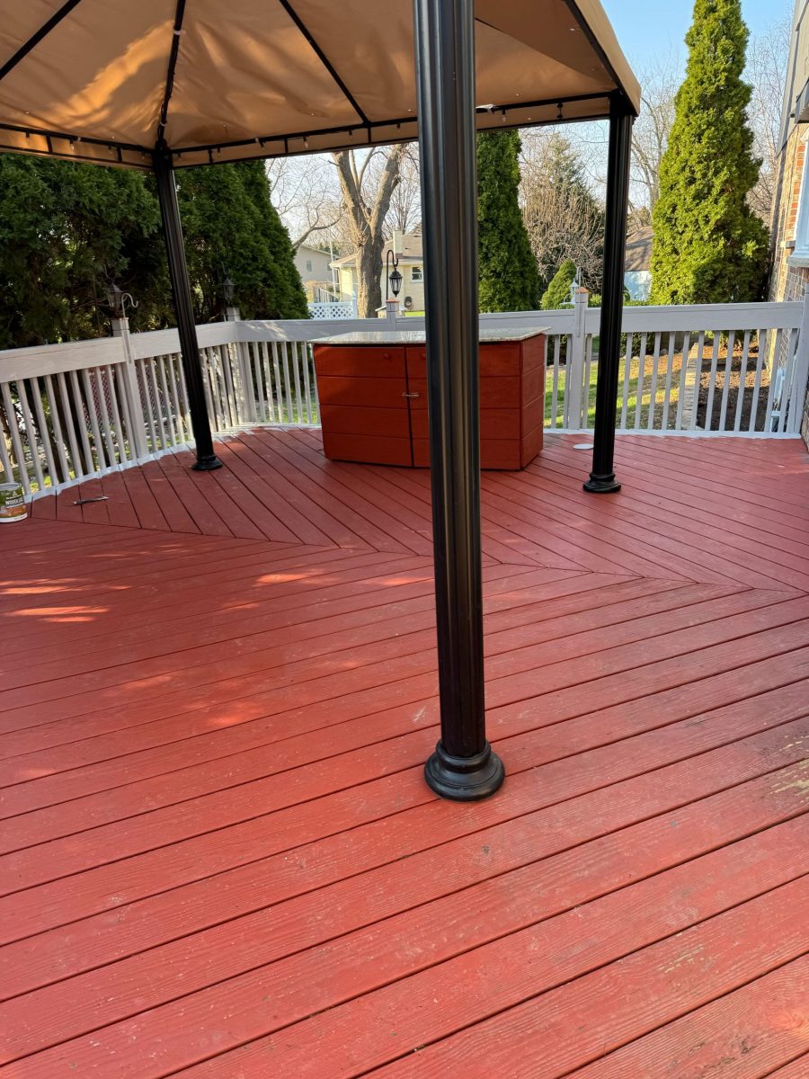 Professional Painting services addison, IL Preview Image 5