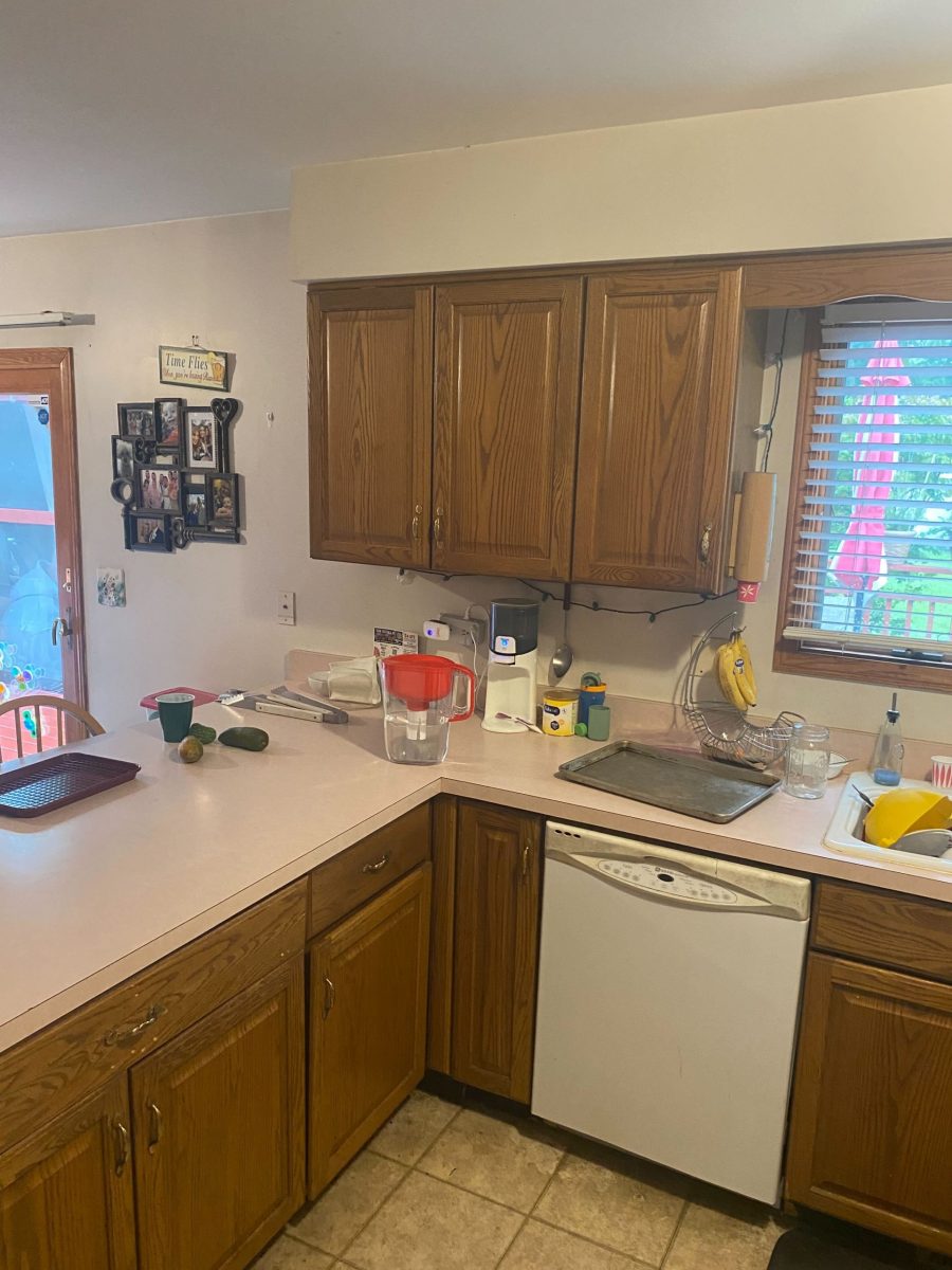 Roselle, IL Best Painting Services Preview Image 5