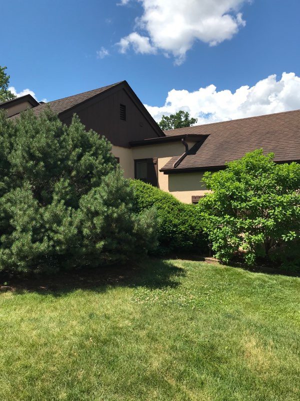 Professional Painting Company Elmhurst, IL Preview Image 1