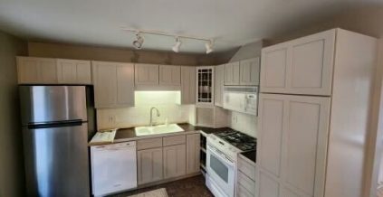 Kitchen Cabinet Refresh – Itasca, IL ...