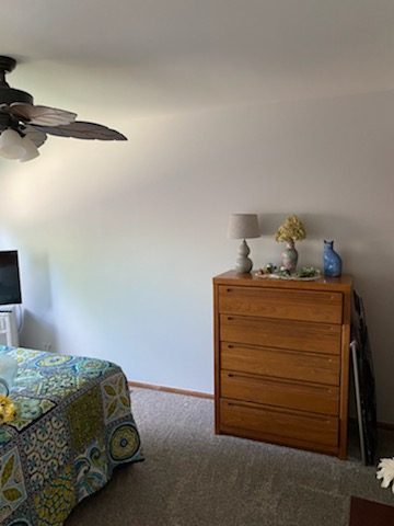 Wood Dale Professional Painters Preview Image 1