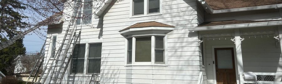 Painting Services Company Roselle Preview Image 3