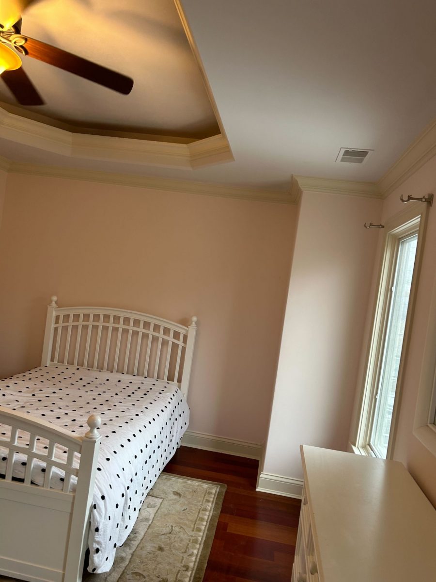 Residential Painting Company Preview Image 5