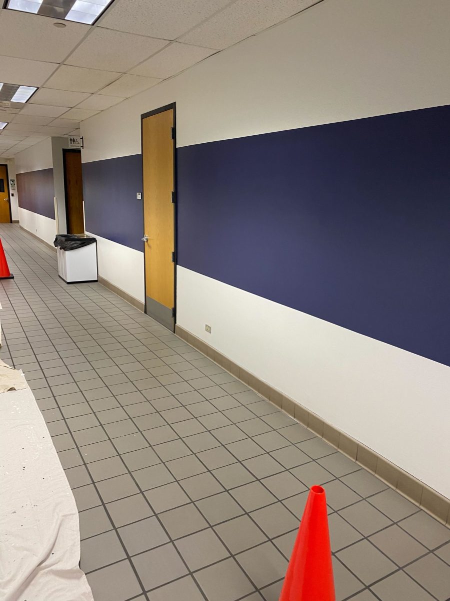 Top Rated Painters in Elmhurst, IL Preview Image 6