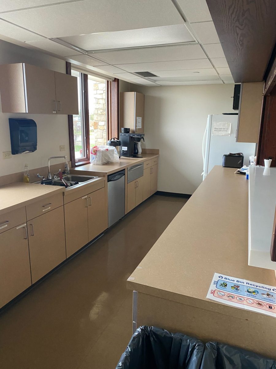 Professional Painters Near Itasca Preview Image 3