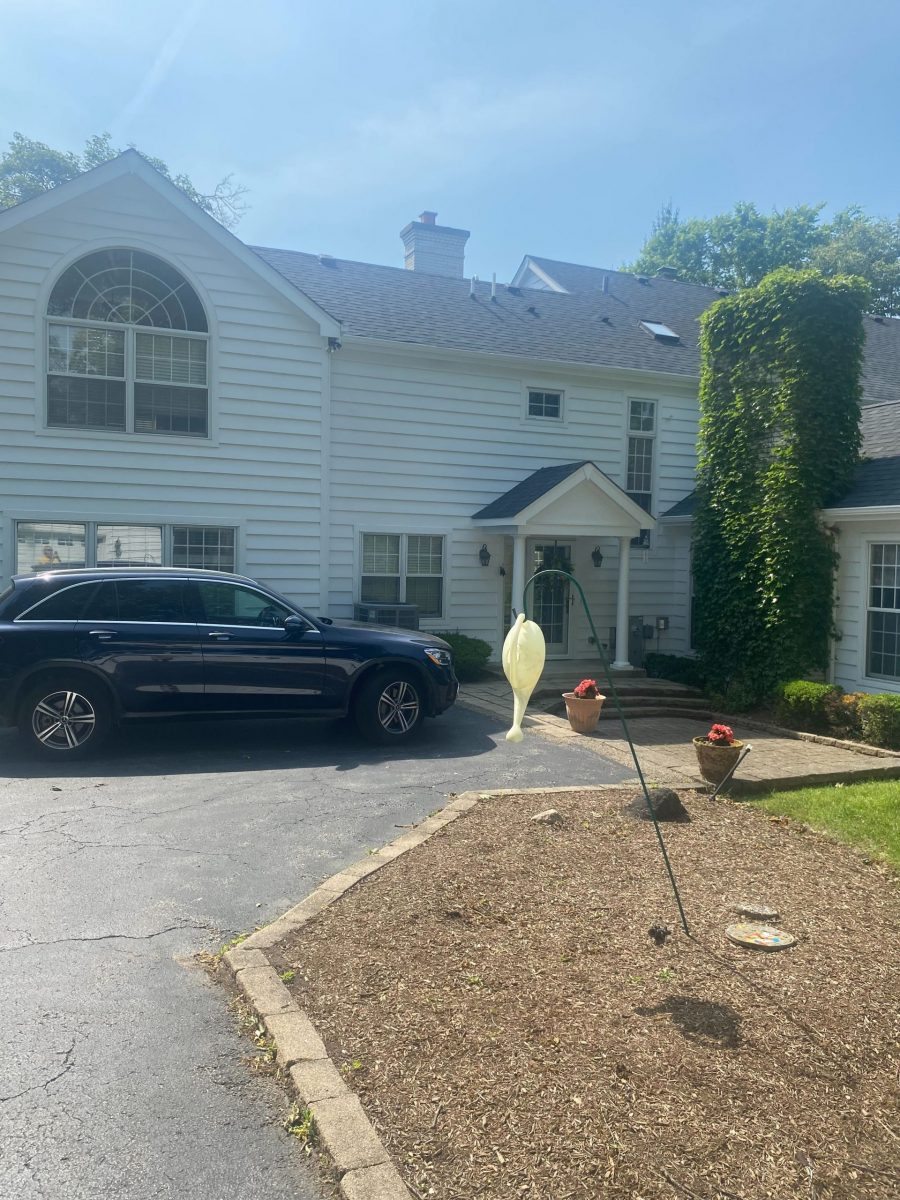 Exterior Painters in Elmhurst Preview Image 3