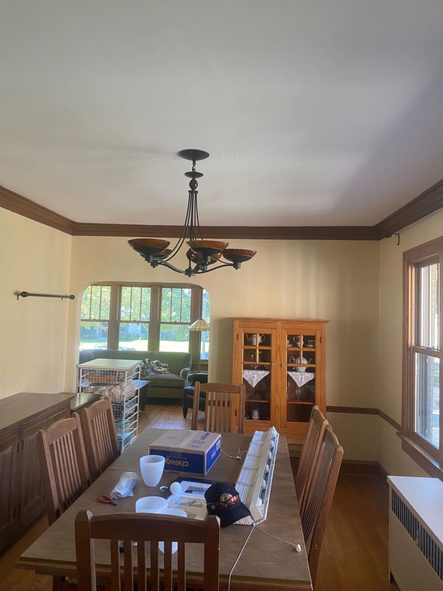 Painter in Elmhurst, IL Preview Image 2