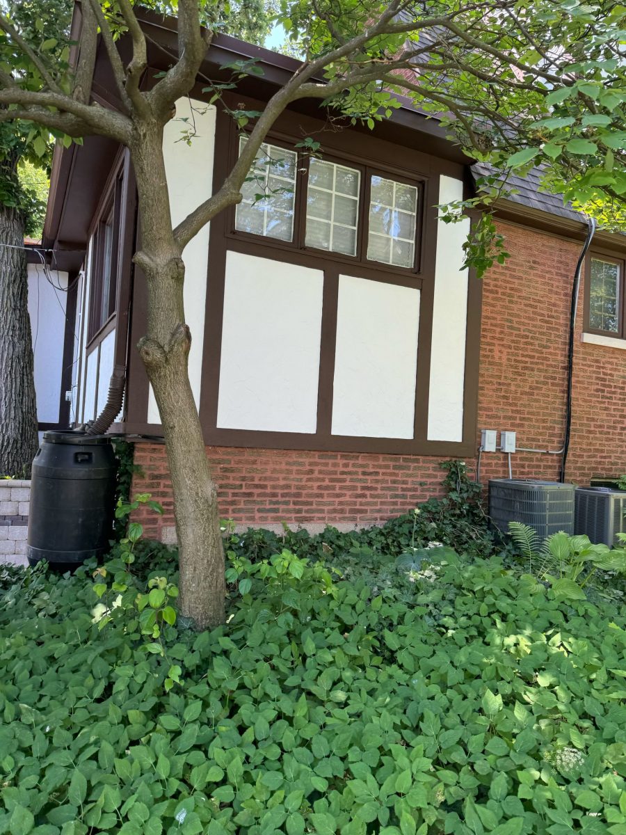 Itasca House Painting Contractors Preview Image 6