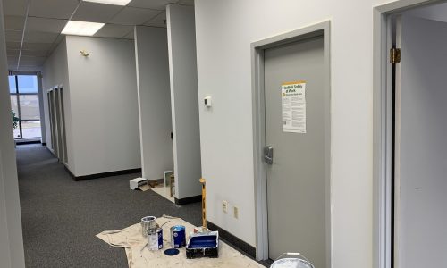 Doors During Repainting