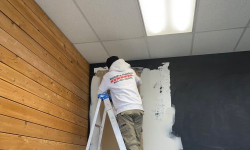 Office Wall Being Repainted