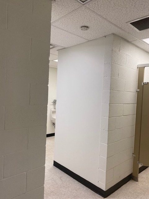 Bathroom Walls After Repainting Preview Image 7